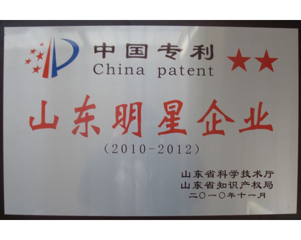 山東明星企業